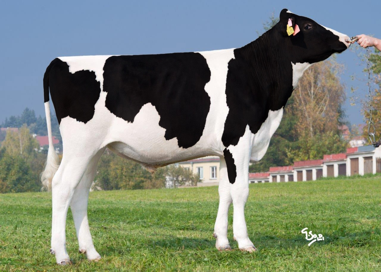 Anderstub Planet Fame